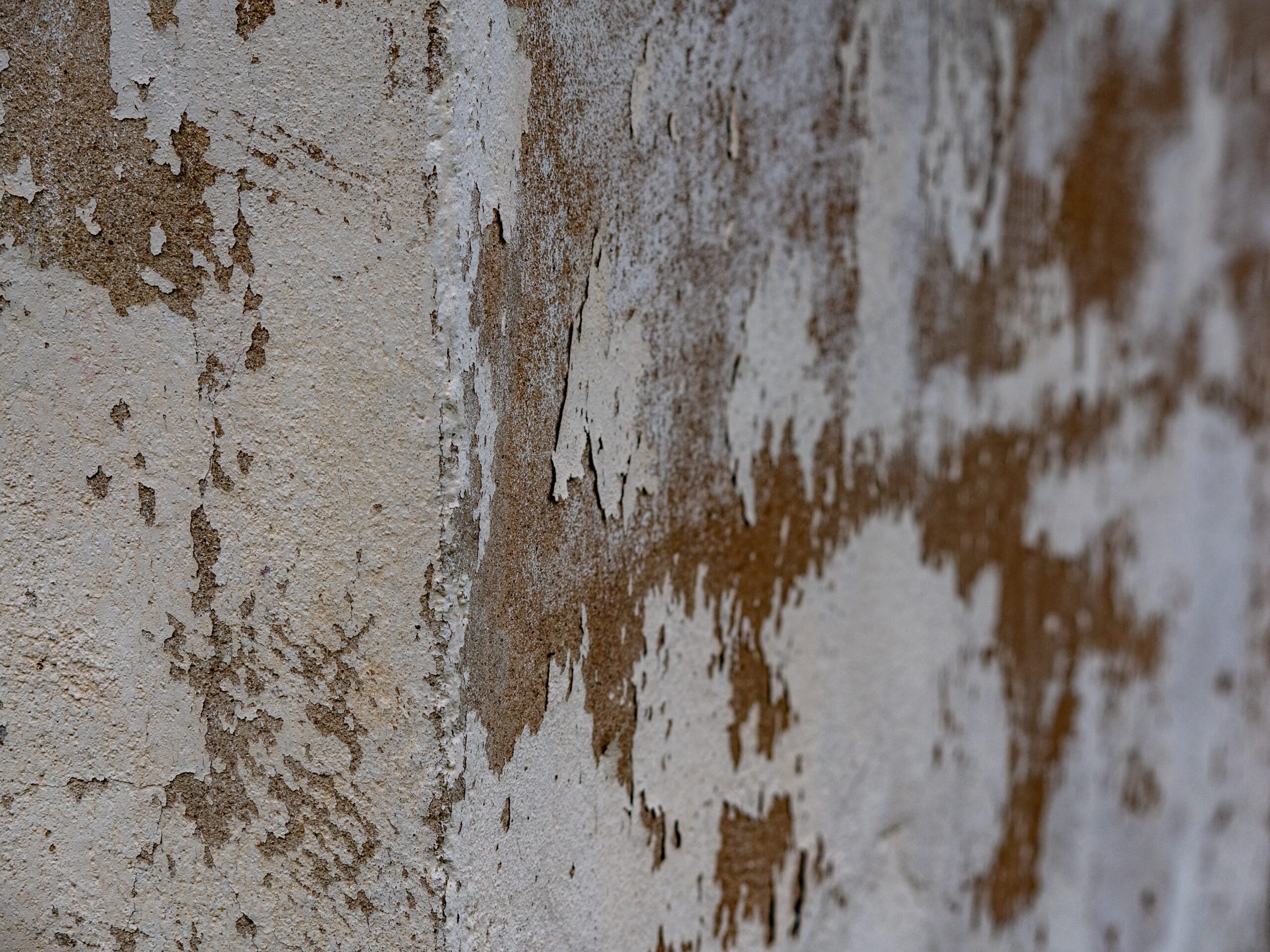 Sanieren Sie mit uns